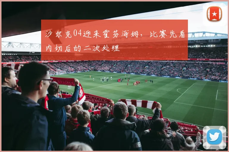 沙尔克04迎来霍芬海姆，比赛先看内切后的二次处理