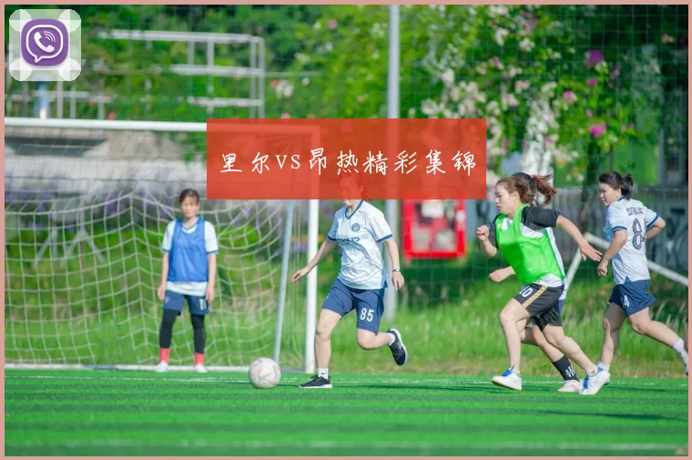 里尔vs昂热精彩集锦