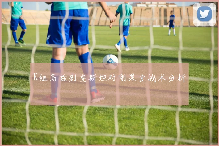 K组乌兹别克斯坦对刚果金战术分析